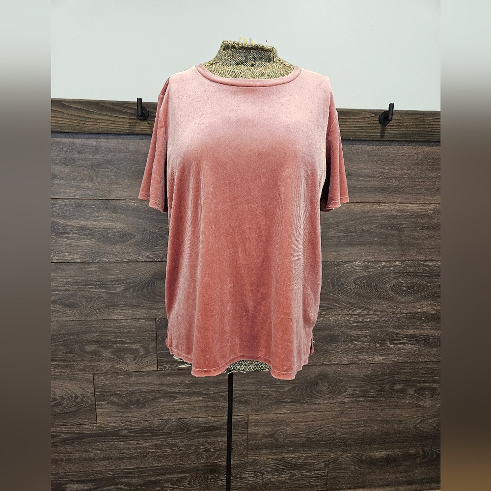 Blush velvet short sleeve top